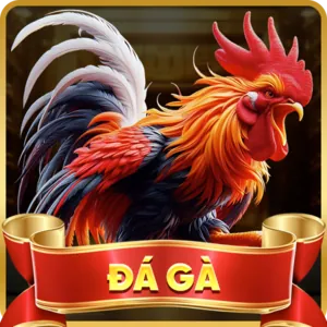 Cá cược Đá gà QH88