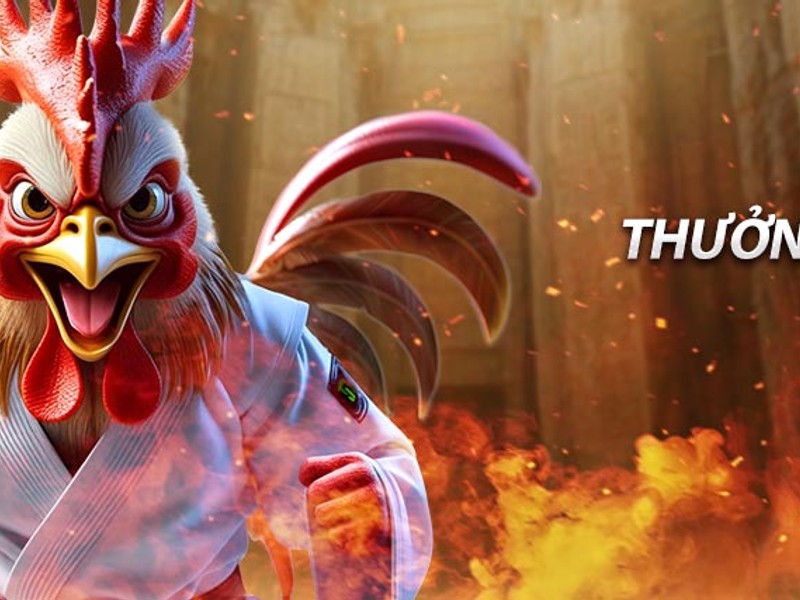 Bước 4: Nhận thưởng